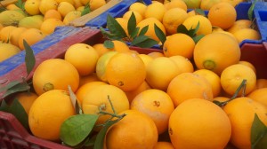 Naranjas del turia